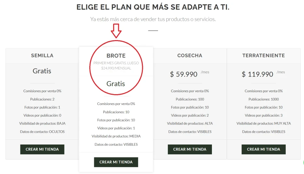 Abre tu tienda en Guía Agrícola y prueba el plan BROTE gratis por 1 Mes 🚜💻