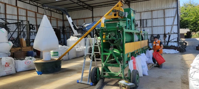 Servicio de selección de granos en terreno